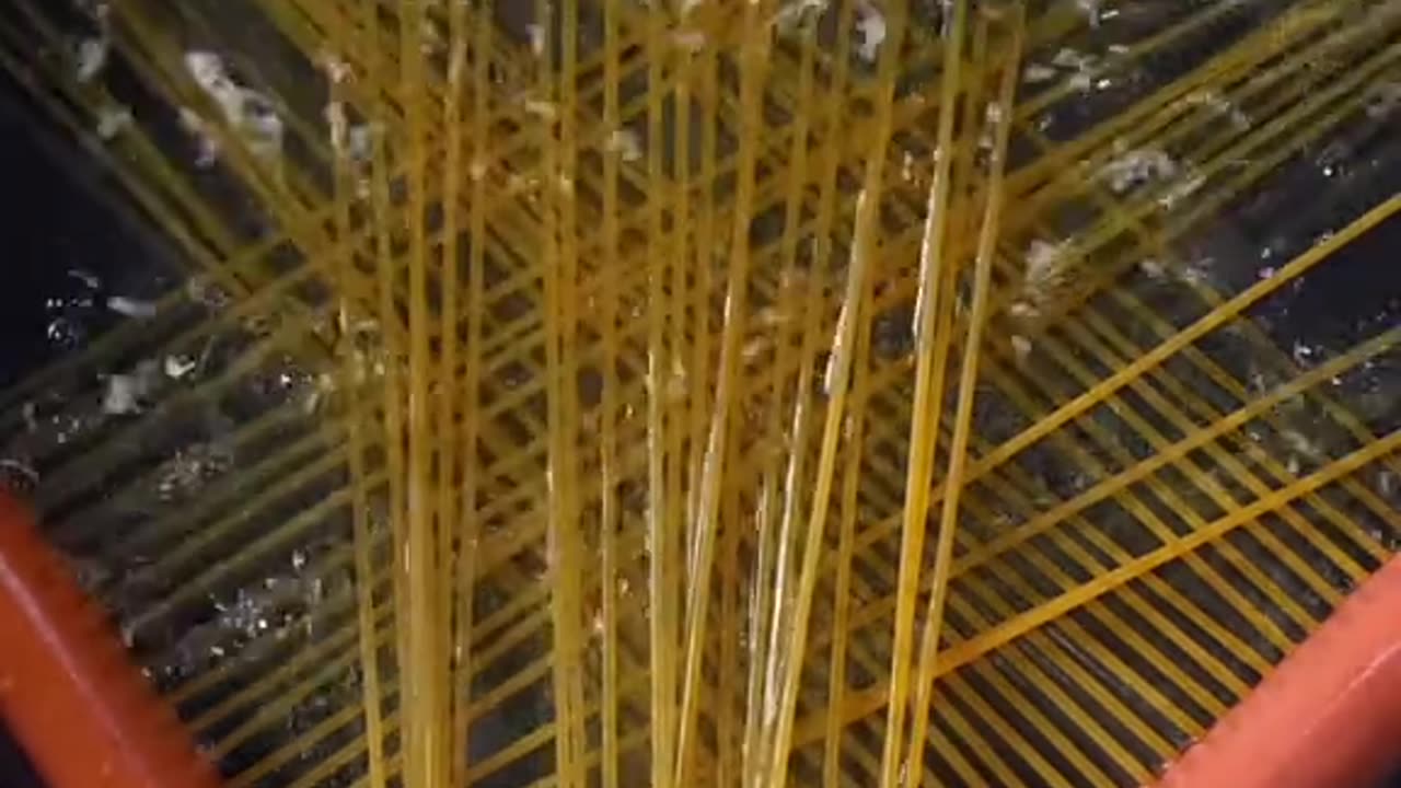 New recipe cooking