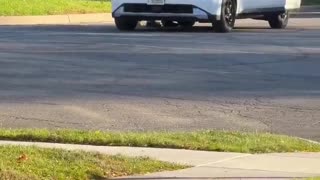 DHS agents detained at least Juan illegal alien in Aurora, Illinois this morning.