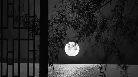 Islamic video Quran Urdu translation