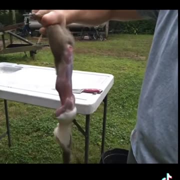 Keeping Nature In Balance