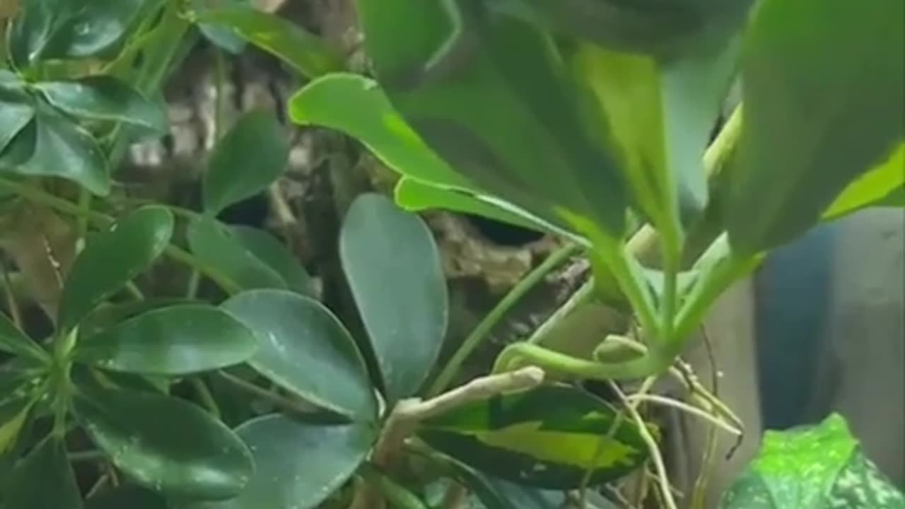 😂💖 This Adorable and Funny Moment Will Melt Your Heart! | FunFM