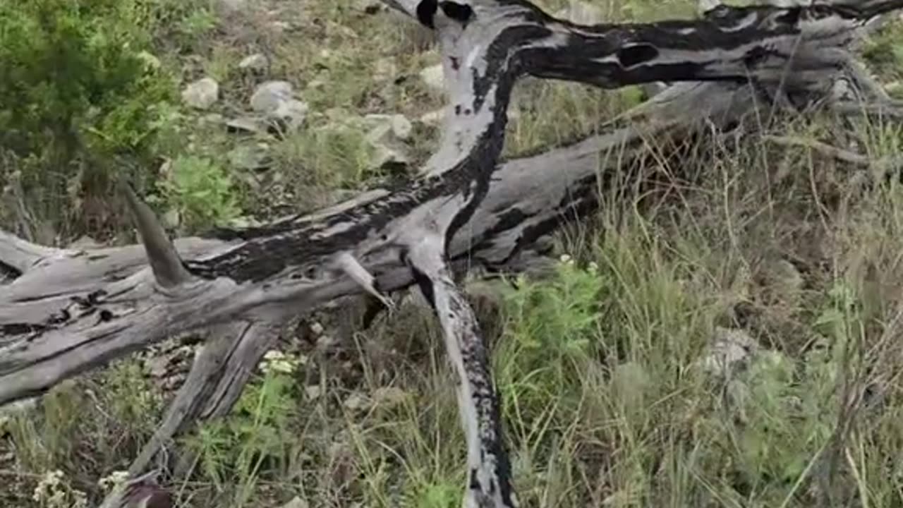 Texas Hill Country - Fire Suppression