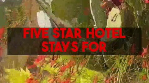 Step-by-step to Business Class & 5-Star Hotels. Mighty Travels Premium guides for FREE.