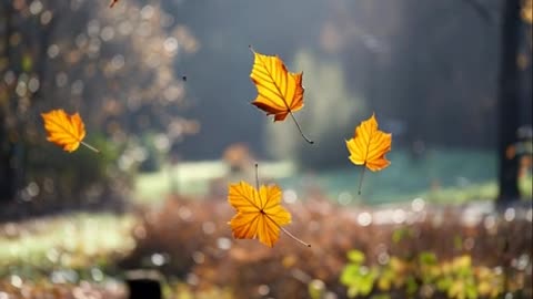 Give Credit where it's due, don't steal