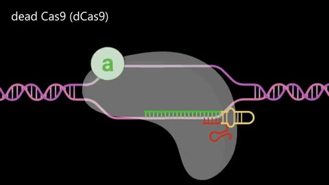 BUT WHAT IS CRISPR-CAS9?