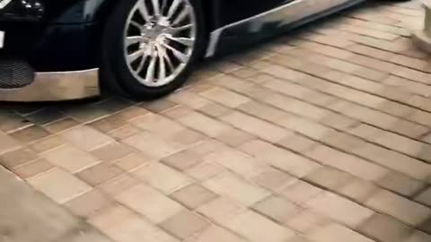 🤔👀 Choose Your Dream Car in this Exclusive Poll! Luxury Sports Cars | LuxurySportsCars