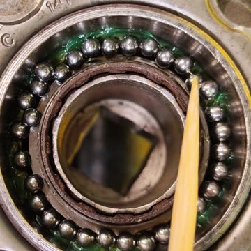 What is inside your bicycle's freewheel ?