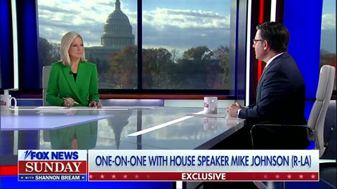 Speaker Johnson 'very optimistic' about passing appropriations bills by deadline