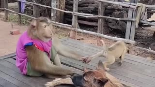 Bro peed on himself after causing major trouble😂