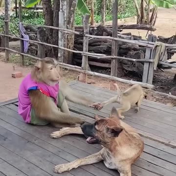 Bro peed on himself after causing major trouble😂