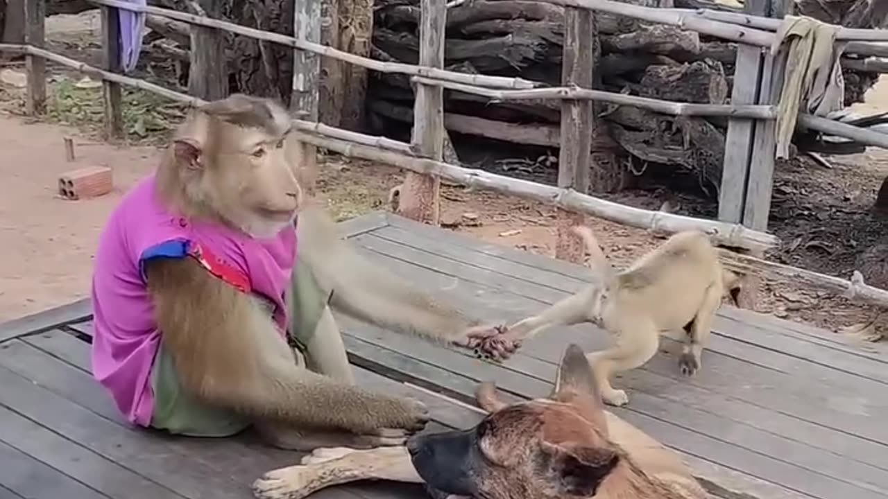 Bro peed on himself after causing major trouble😂