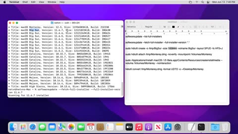 How to Create a macOS ISO Monterey, Big Sur, Catalina, Mojave, High Sierra