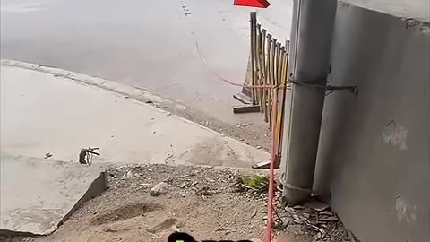 Living the Dream: Working on the Open Road