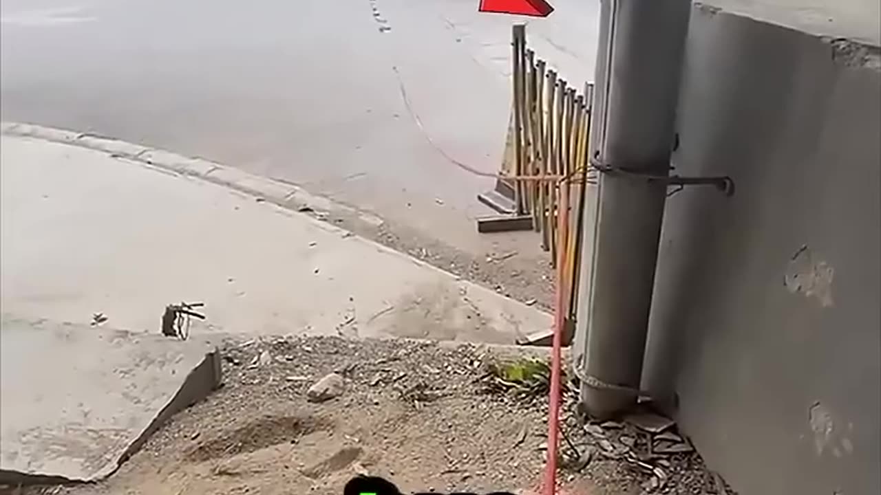 Living the Dream: Working on the Open Road