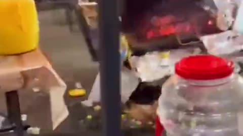 Néger amazon kontra fehér bétahímek