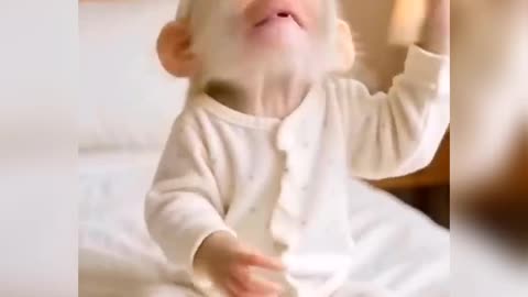 Sara Cake Kha Liya Monkey Ne #short#monkey