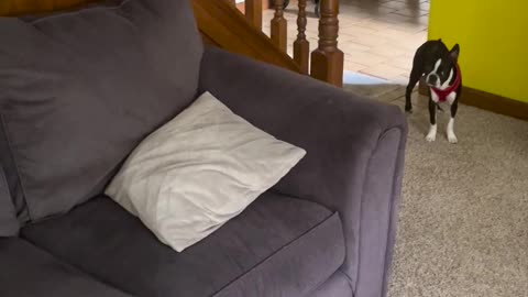 👀⚠️ Is Something Watching? Motion Camera Goes Haywire | TheHauntingHour
