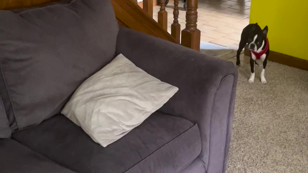 👀⚠️ Is Something Watching? Motion Camera Goes Haywire | TheHauntingHour