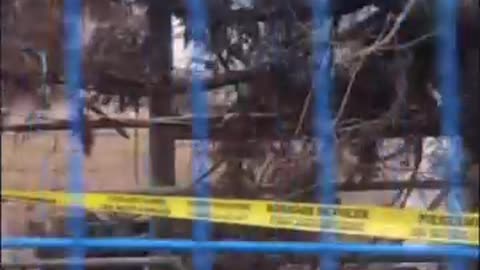 Caught Red-Handed: CFIA Caught Removing Evidence After Killing 400 Ostriches