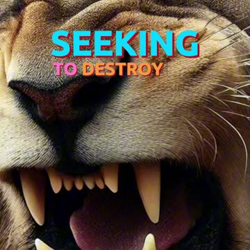 Psalm 7 - Put your trust in the Lord