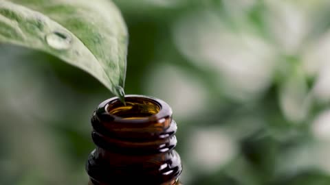 Exploring Homeopathy with Herbal Remedies: A Beginner’s Guide