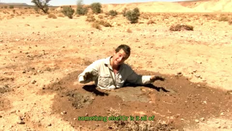 Man vs. Wild has fooled millions of people