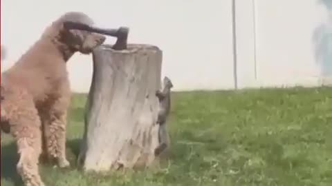Intelligence is the key.