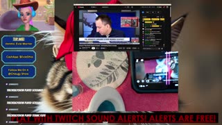 News updates and art