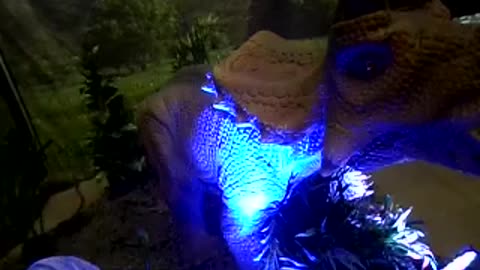 Close up on triceratops eye