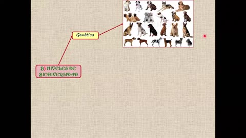 SAVIA REGULAR 2025 | Semana 12 | Geografía