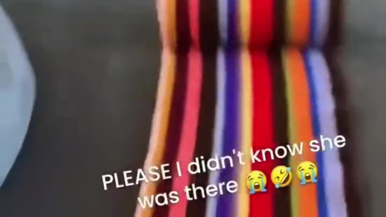 FunyyAnimal_vedios