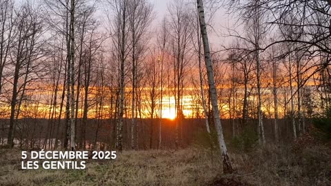 LES GENTILS