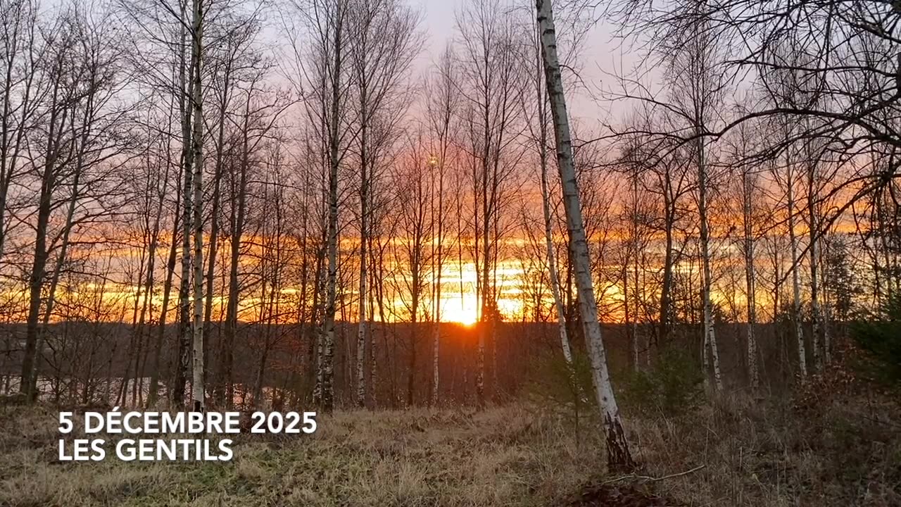 LES GENTILS