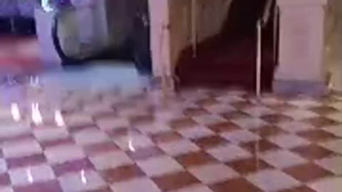 Vippy: Vegas Vips is live! 1 14 2026[hmarg4rRQc8]