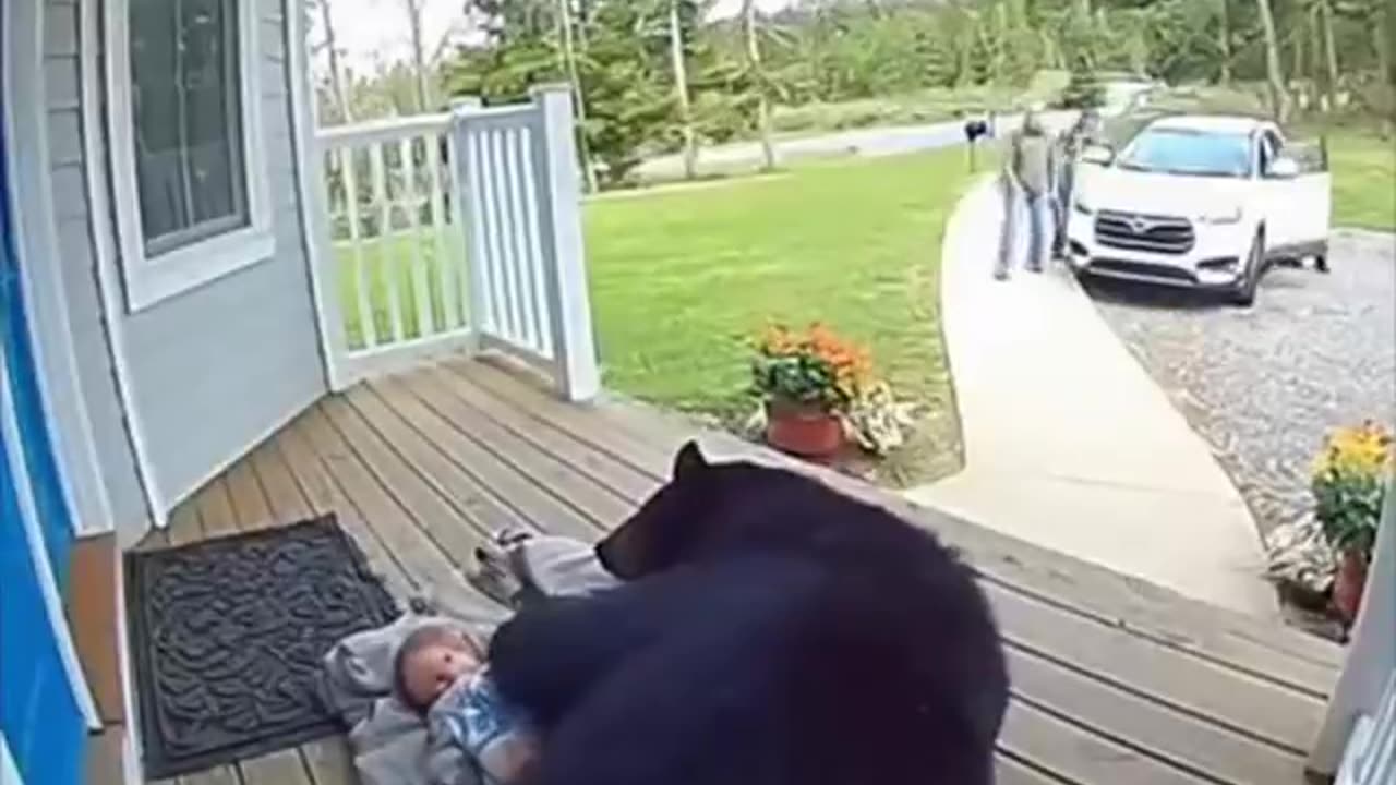 Unbelievable Security Camera Moments