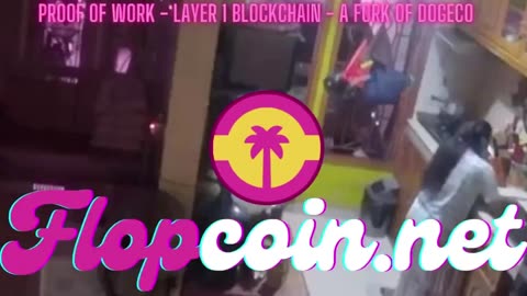 Flopcoin is the coolest Proof Of Work Meme Coin you can Mine or Buy !