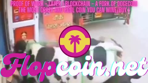 Flopcoin is the coolest Proof Of Work Meme Coin you can Mine or Buy !