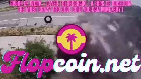 Flopcoin is the coolest Proof Of Work Meme Coin you can Mine or Buy !