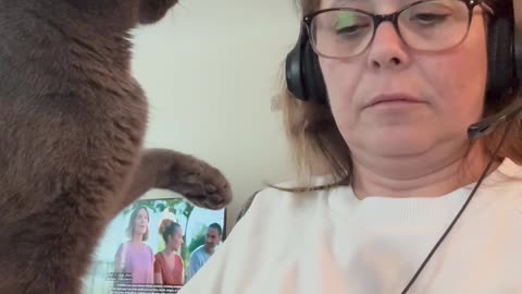 Cat Demands Undivided Attention From Worker