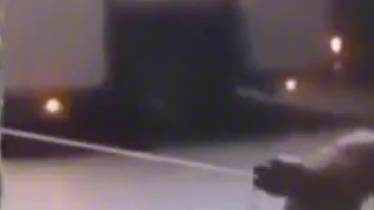 Crowd laughs at dog helping firefighters