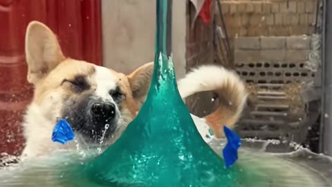 🤯👍 You’re Cutting Fruits Wrong—Try This Faster Hack! | LifeHacksDaily