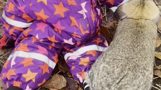 Baby Kayla Surrounded by Bunnies | Fluffy Overload!