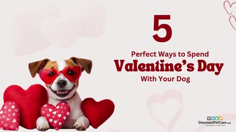 Make Valentine’s Day Special for You and Your Dog