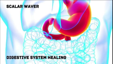 Digestive System Healing +33X