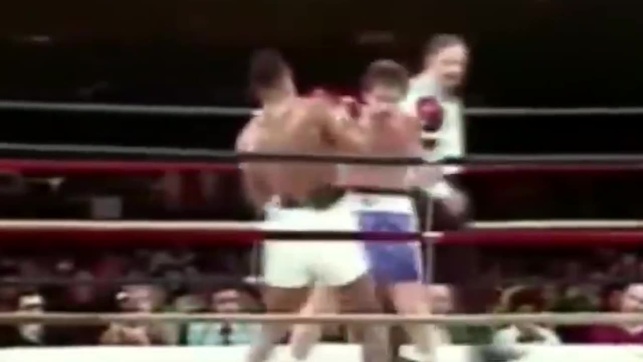 Mike Tyson vs Don Halpin