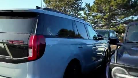 Expensive mistake, Ford