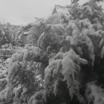 Christmas weather for you friends