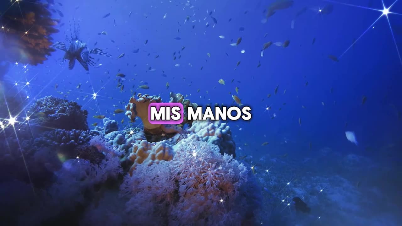 MI MAÑANA 12/01/2026