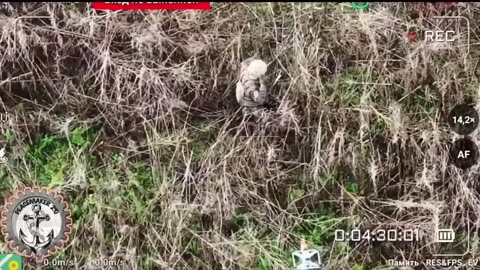 Ukraine war combat footage /related 11/13/2025