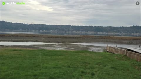 Calm gray day on the water